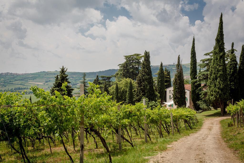 Vila Massimago Wine Relais Mezzane di Sotto Exteriér fotografie