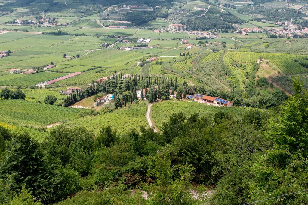 Vila Massimago Wine Relais Mezzane di Sotto Exteriér fotografie