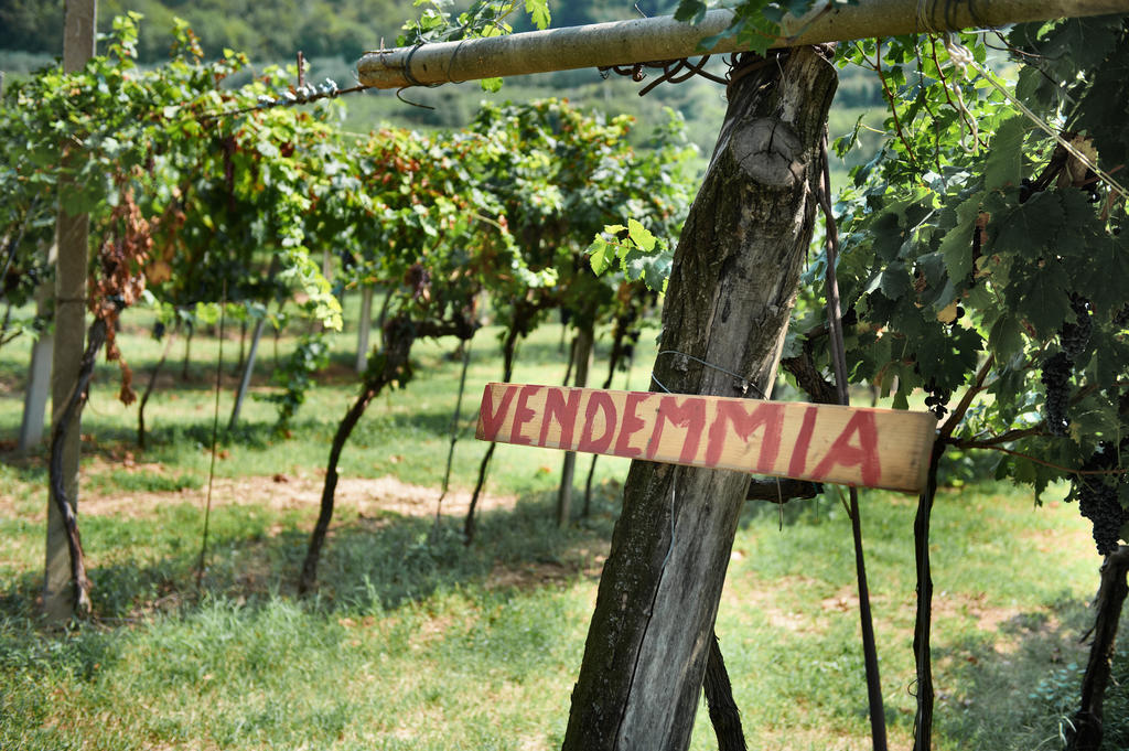 Vila Massimago Wine Relais Mezzane di Sotto Exteriér fotografie
