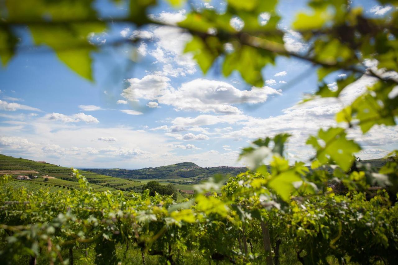 Vila Massimago Wine Relais Mezzane di Sotto Exteriér fotografie